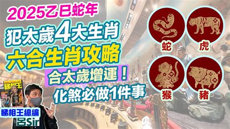 蛇跟豬|2025乙巳蛇年「四大生肖須攝太歲」屬蛇犯太歲建議這樣做避險